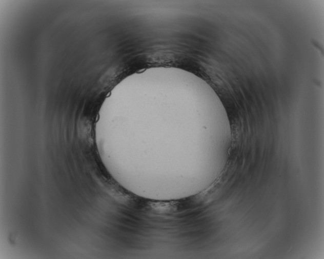 X0000091010187200708301406