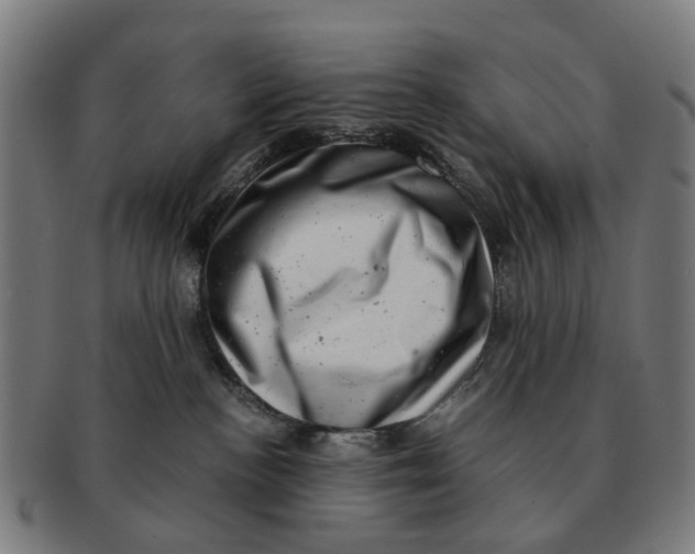 X0000091010188200708301406