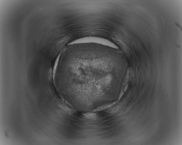 X0000091010189200708301406