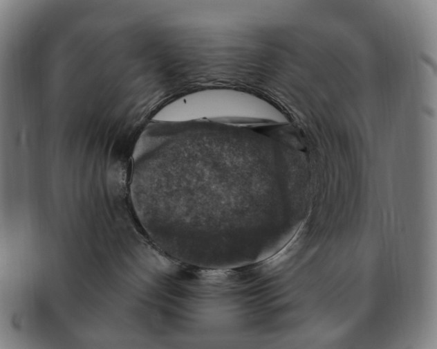 X0000091010192200708301406