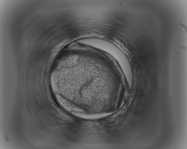 X0000091010193200708301406