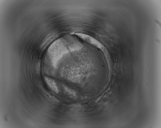 X0000091010194200708301406