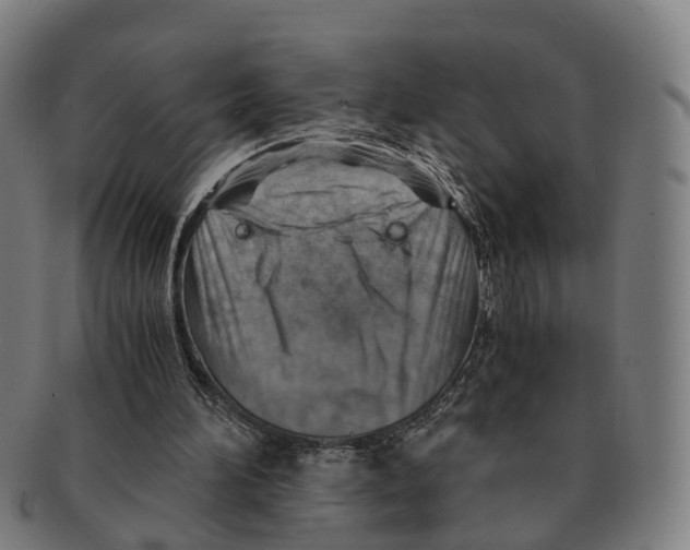 X0000091010196200708301406