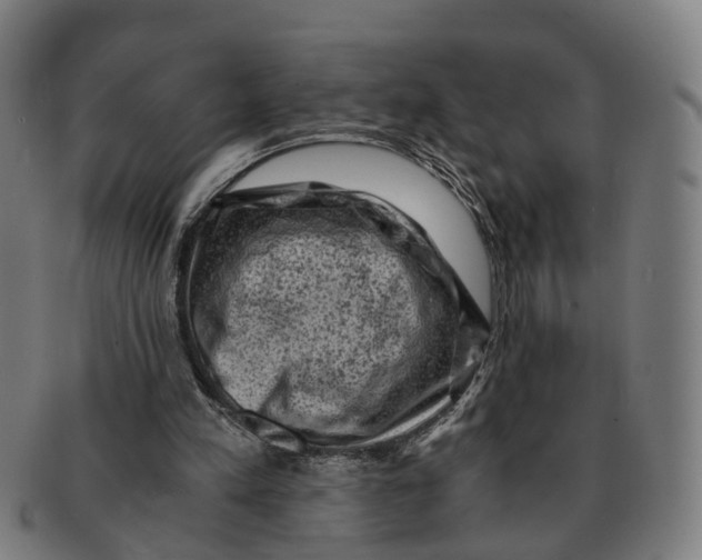 X0000091010197200708301405
