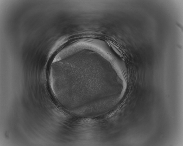 X0000091010198200708301405