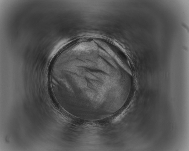 X0000091010199200708301405