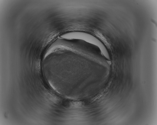 X0000091010202200708301405