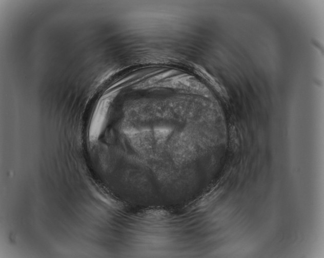 X0000091010203200708301405