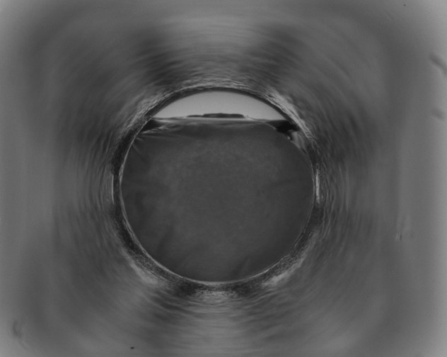 X0000091010205200708301405