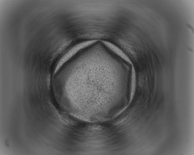 X0000091010206200708301405
