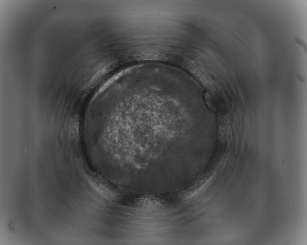 X0000091010207200708301405