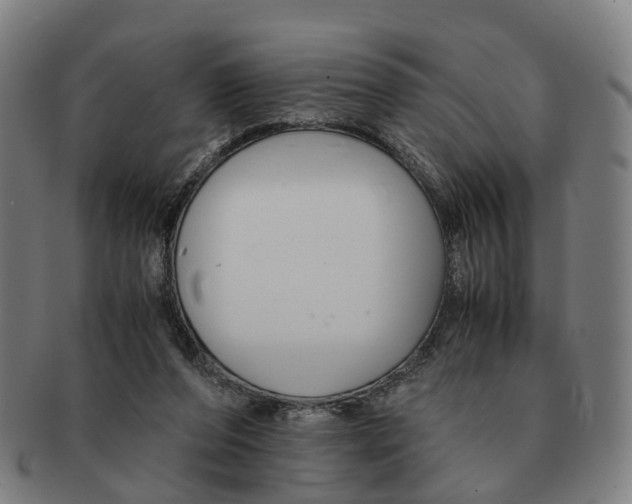 X0000091010208200708301405