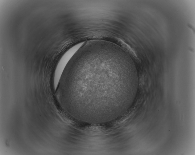 X0000091010209200708301405