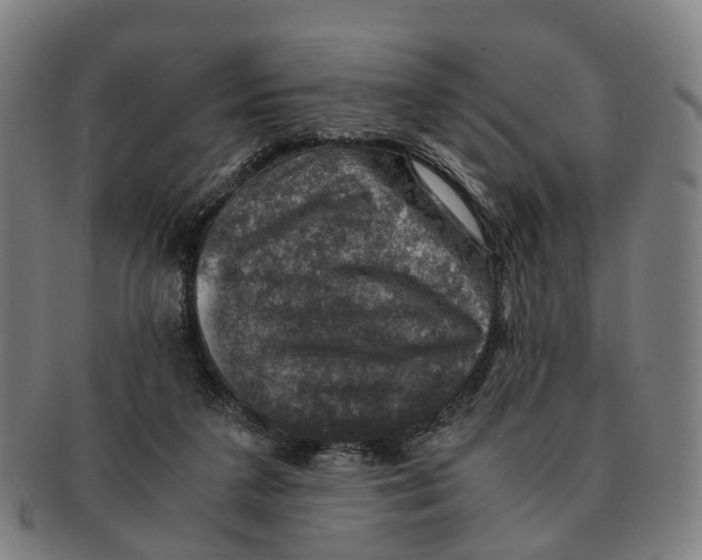 X0000091010211200708301405
