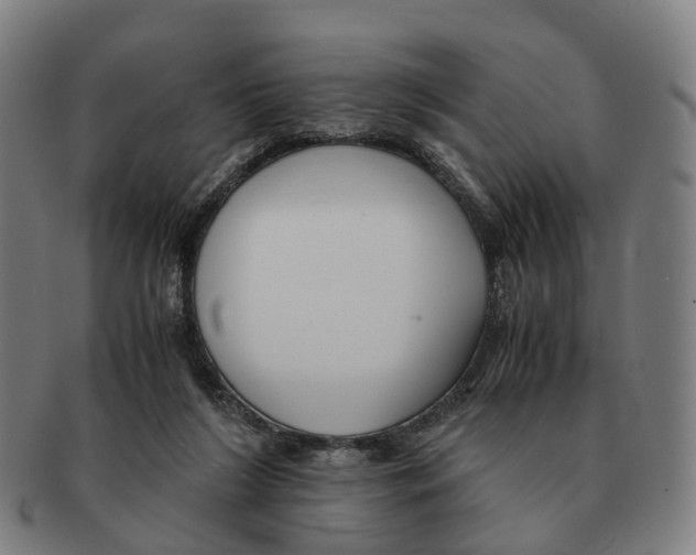 X0000091010212200708301405