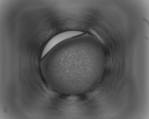 X0000091010213200708301405