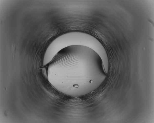 X0000091010215200708301405