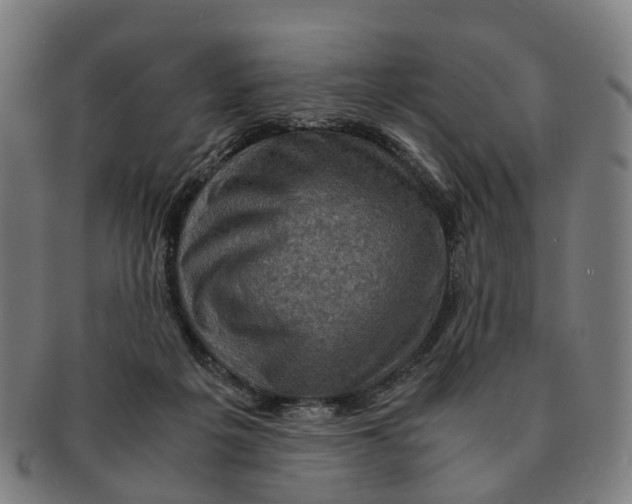 X0000091010217200708301405