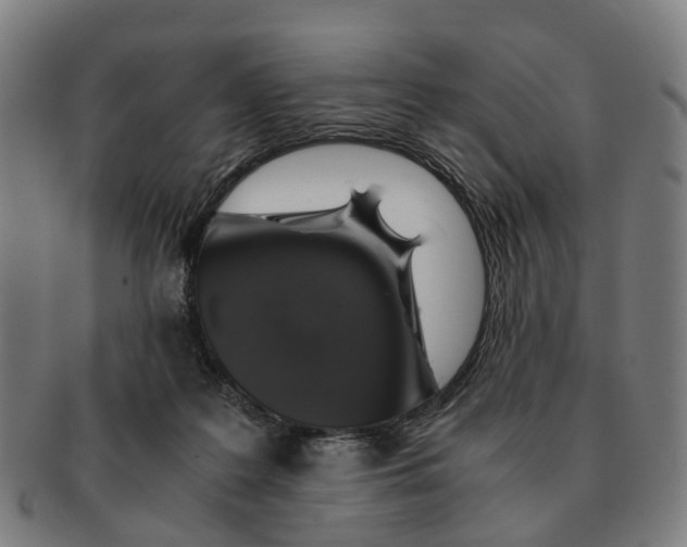 X0000091010219200708301405