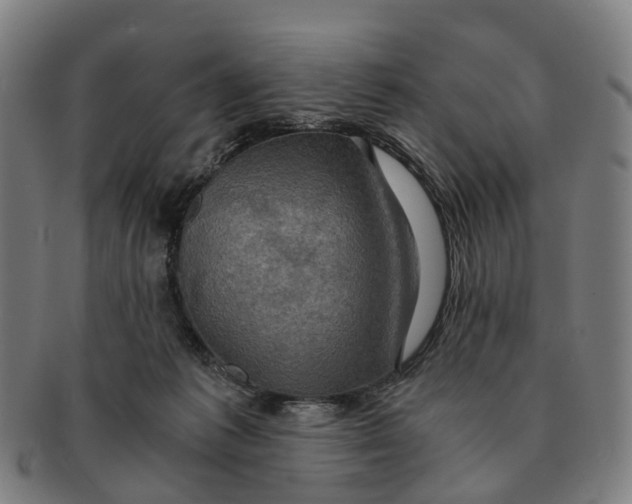 X0000091010221200708301405