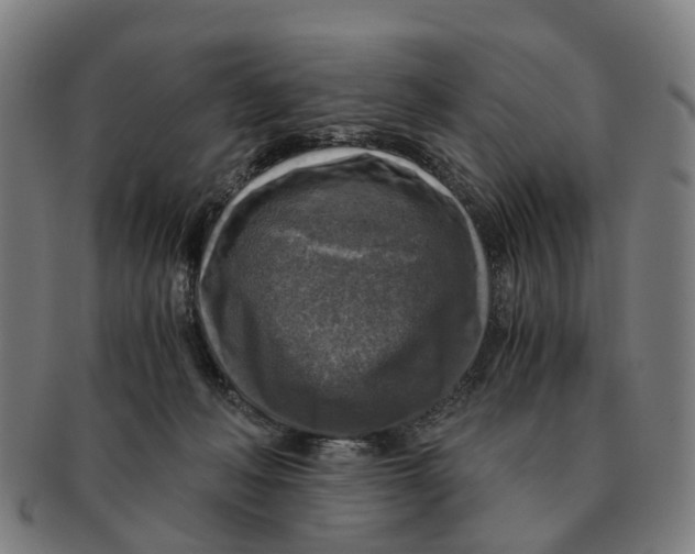 X0000091010222200708301405