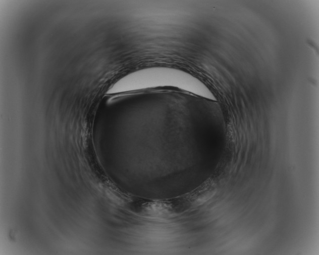X0000091010223200708301405