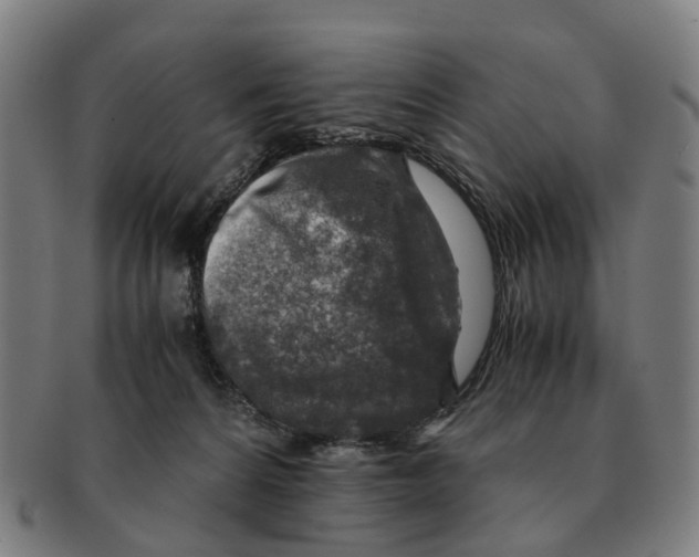 X0000091010224200708301405