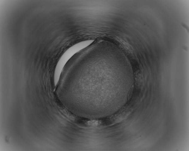 X0000091010225200708301405