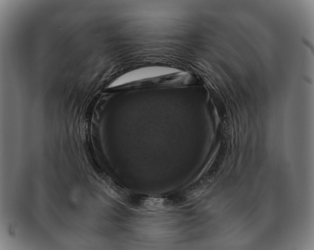 X0000091010227200708301405