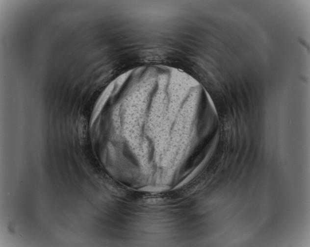 X0000091010228200708301405