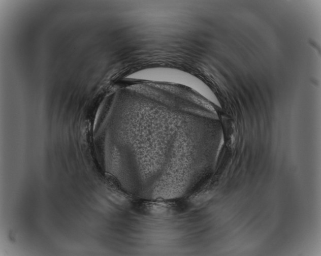 X0000091010229200708301405
