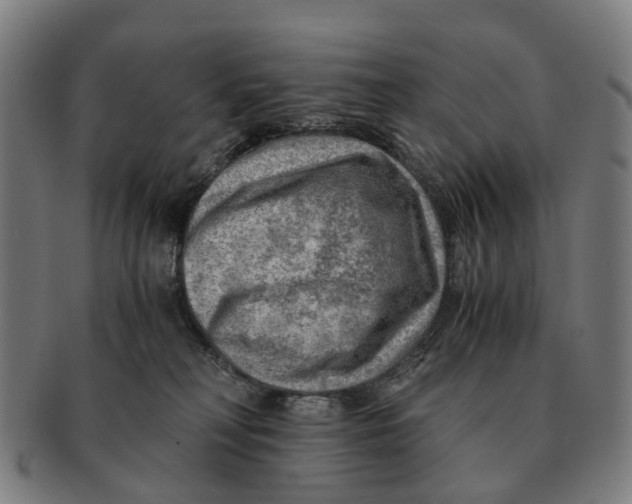 X0000091010230200708301405