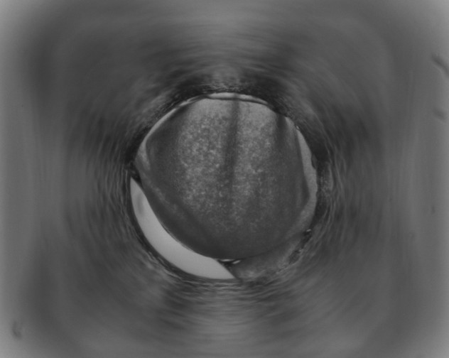 X0000091010233200708301405