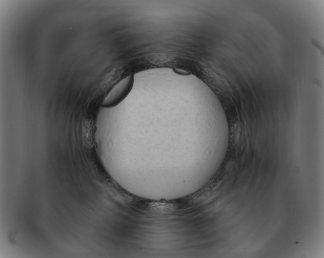 X0000091010234200708301405