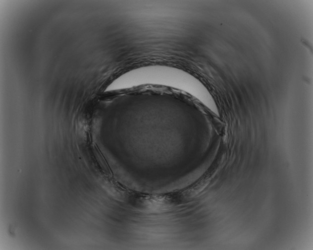 X0000091010235200708301405