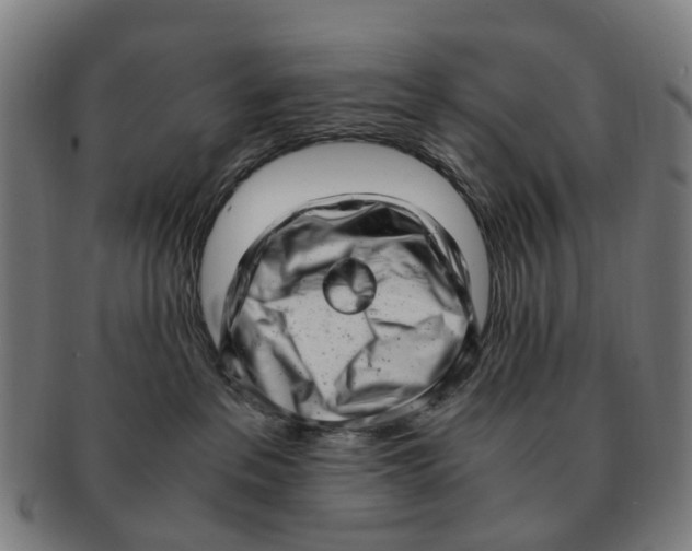 X0000091010237200708301405