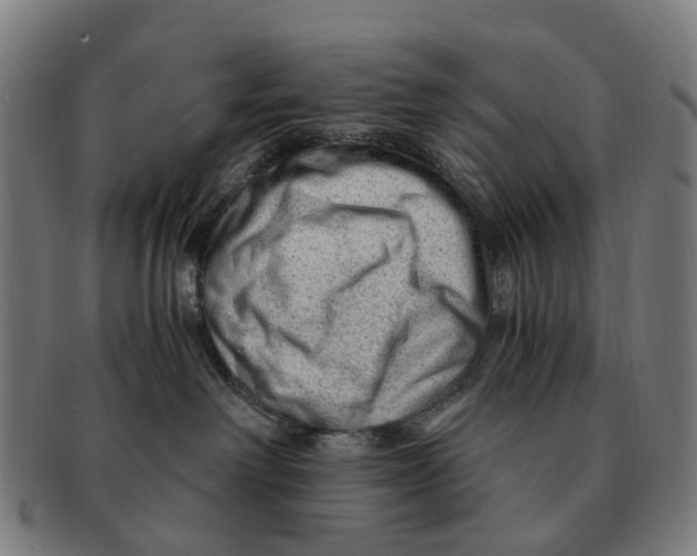 X0000091010238200708301405