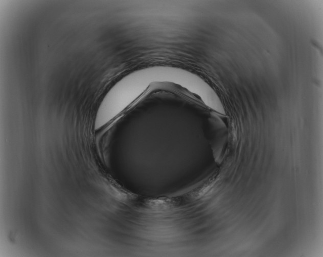 X0000091010239200708301405