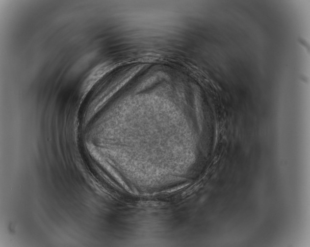 X0000091010242200708301404