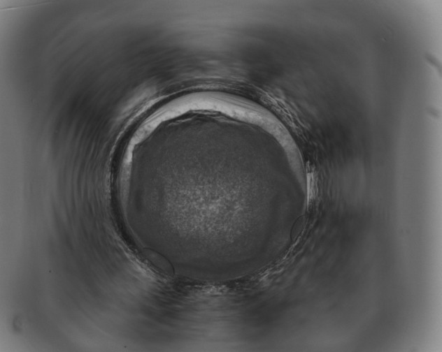 X0000091010243200708301404