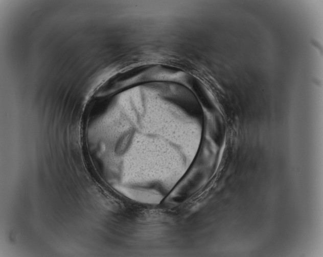 X0000091010244200708301404