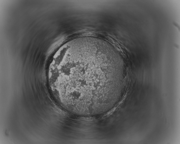 X0000091010245200708301404