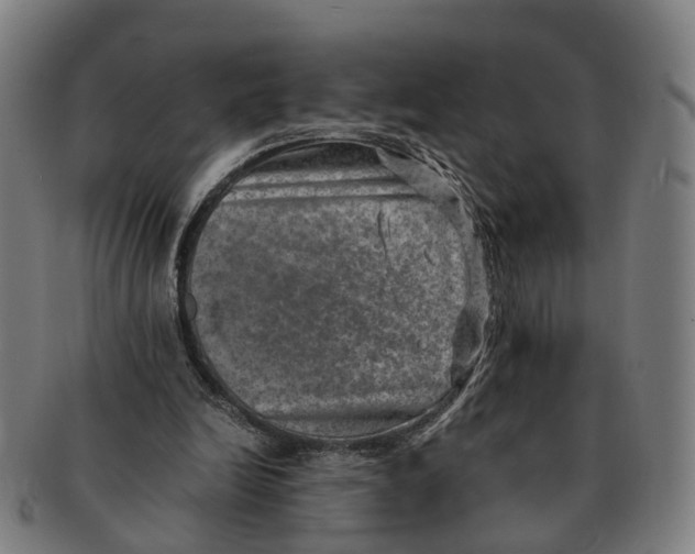 X0000091010246200708301404