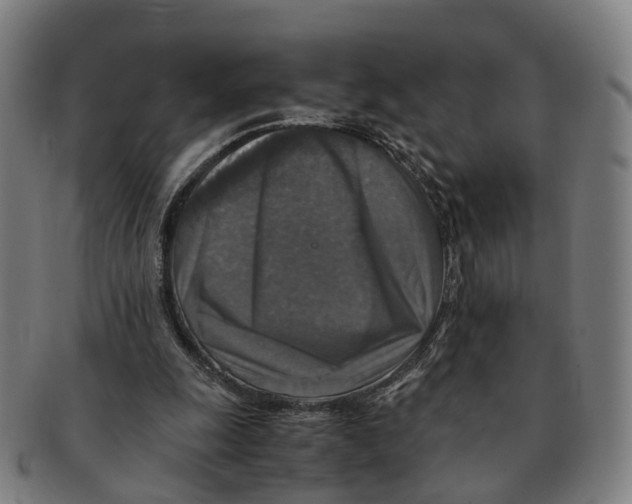 X0000091010247200708301404