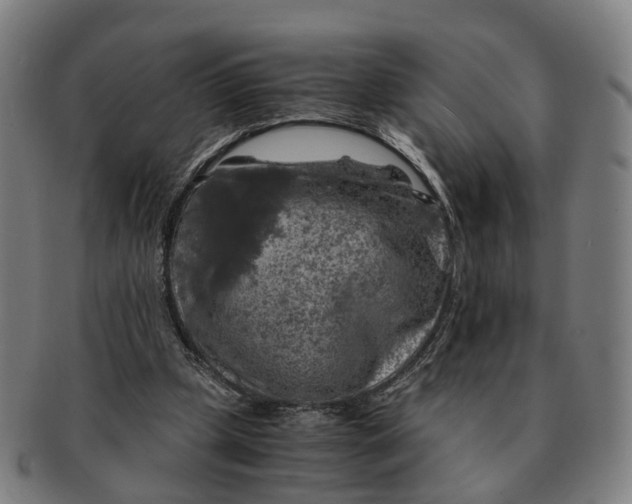 X0000091010249200708301404