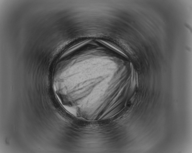 X0000091010252200708301404