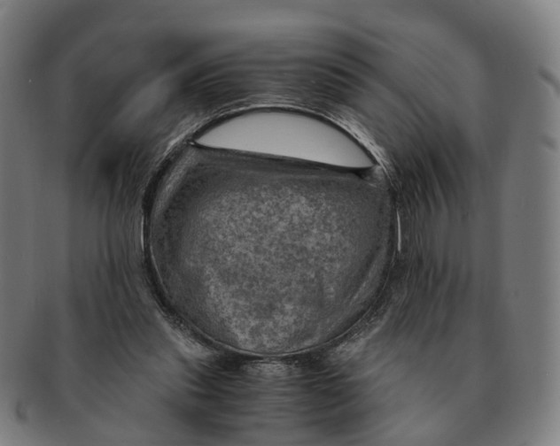 X0000091010253200708301404