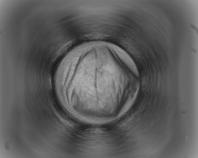 X0000091010254200708301404