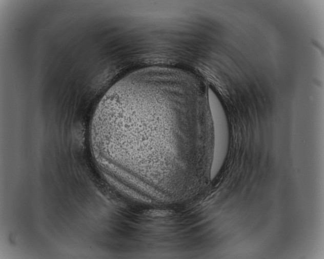 X0000091010255200708301404