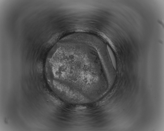 X0000091010257200708301404